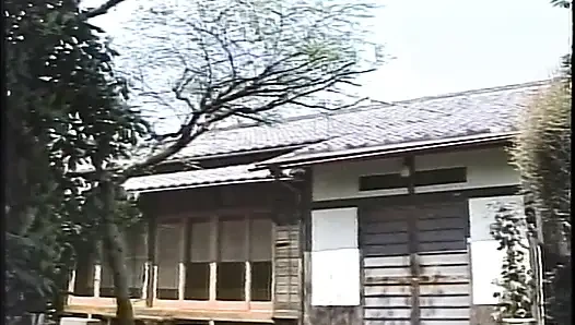 Aşırı sert amcık sürtükler acımasız xxx içinde edepsizce sikiliyor