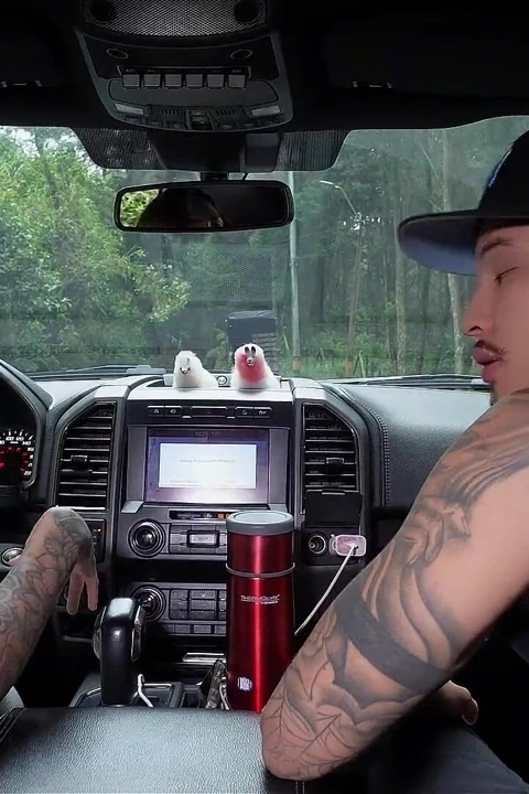 Kamyonumdan bir yabancıyı alıyorum ve onu sert ve gerçek sikiyorum - sara blonde ve danner