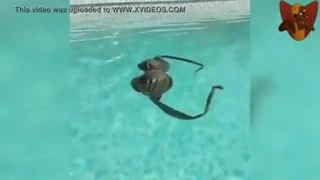 Amanda cerny sıcak havuz