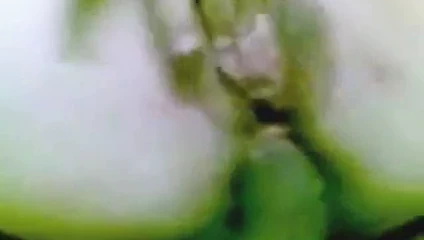 Meraty betmoot fe neek tezha