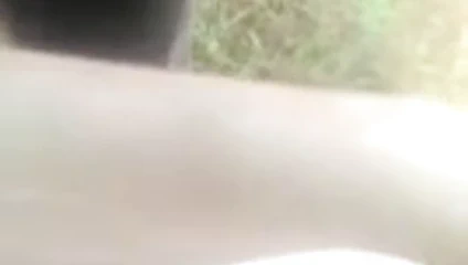 Dillon Howell porno alabama