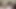 ırklararası bbc sürme