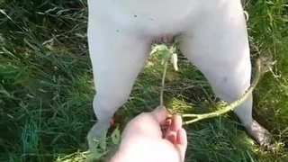 Açık hava eğlencesi