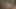 Amatör amcığın muhteşem ıslak amcıkları büyük penisin içine boşalmasını bekliyor