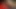 Çekici genç kadın sahte bir porno yapımcısına kafa veriyor