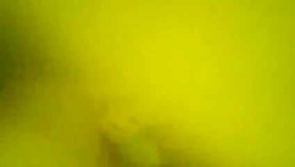 amatör argenta x whatsapp