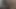 Genç güzel öğrenci sert sikiliyor