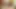I suck my fat neighbor's dick while my husband is away at work
