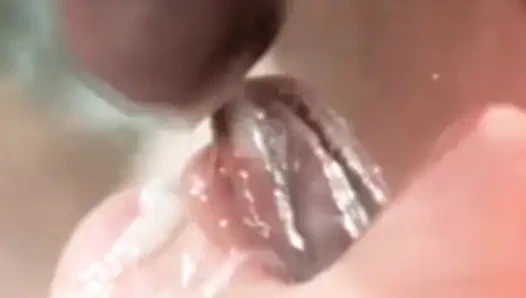 Jade pussycat klasik güzellik