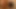 Dik ve seksi cain ve welsey zevk horoz artık kimse kullanmıyor