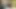 Porno, üniversite işi, doğru