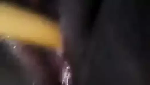 Amcık