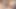 Best Anal fuck. Desi Big Ass beauty Hard & painfull Anal fucking with big dick boy. Indian sexy girl gaand chudai.  Roshni-Atif