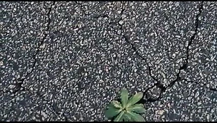 Bağlı ve gözleri bağlı becerdin var