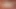 Katsuni - vahşi cennetin yakınında - kıvrımlar