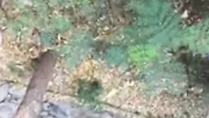 Bazıları için kablolama da