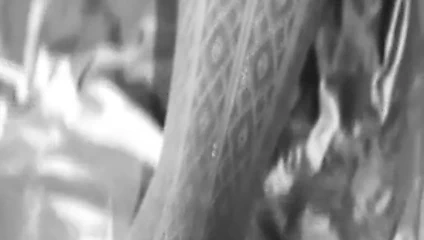 karısının moda külotlu çorap