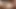 Brookeskye onu kedi sert parmaklıyor - yakın çekim