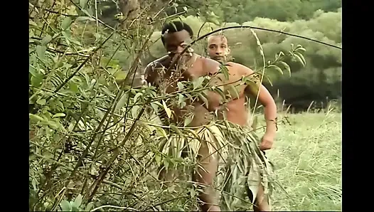 Beyaz çalılıklarda