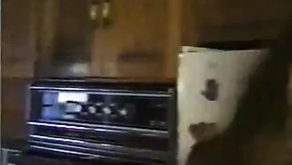 İstek - nadir cheyenne ve shanna lezbiyenler