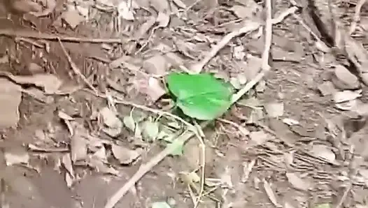 Kocası Ormanda Çalışırken Evli Kadın Komşusuyla Sikiliyor