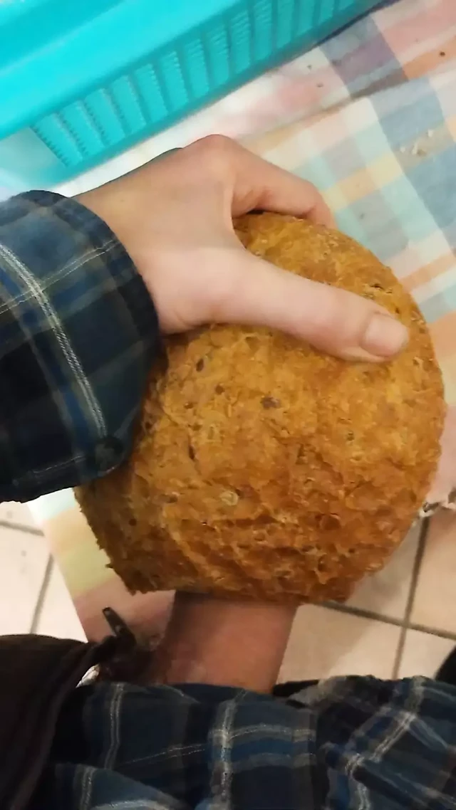 Lanet somun ekmek sert horoz