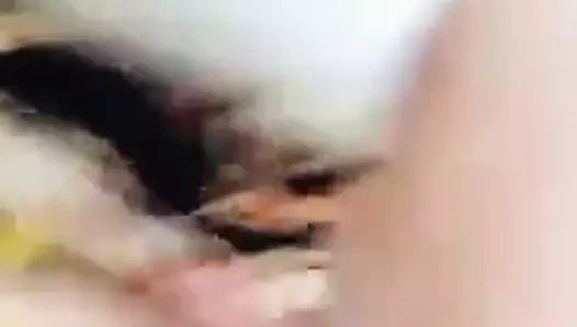 İranlı sekreter kedi becerdin var