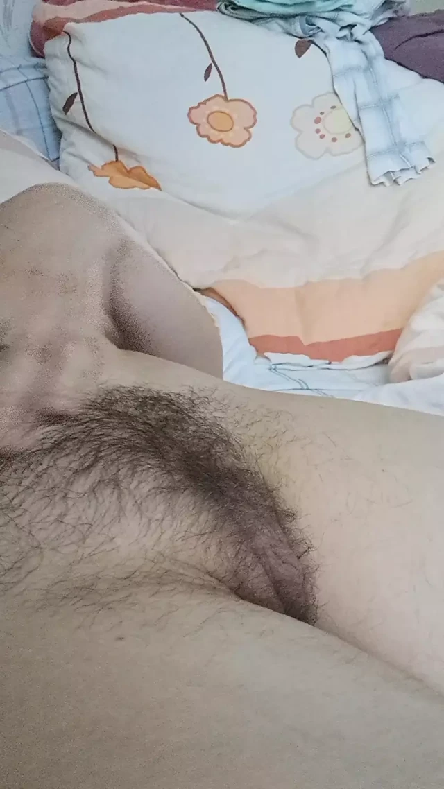 tatlı kedi
