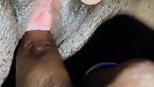 Ne amcık. güzel bir kedi güzel yakın çekim.