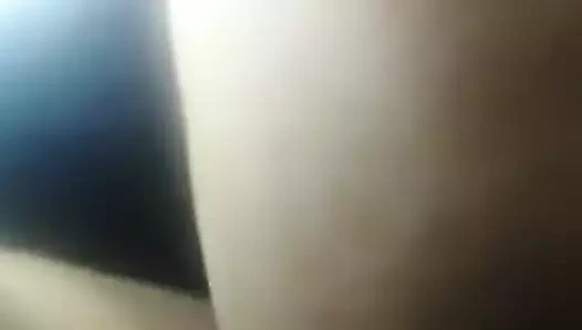 Burada lanet büyük kedi. çok ıslak