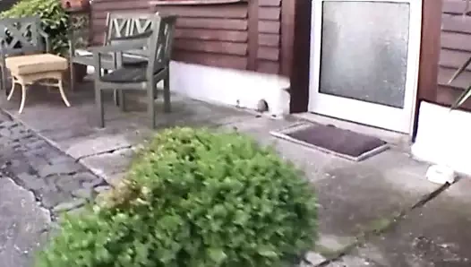 Bir muhteşem alman sarışın alır onu traş kedi tahrip