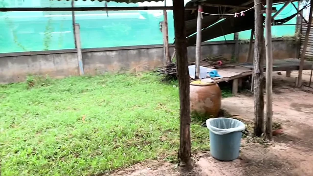 Маленькие сиськи соблазняют