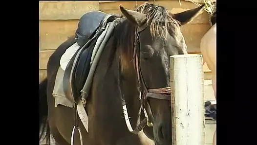 Sarışın nine açık havada sikiliyor
