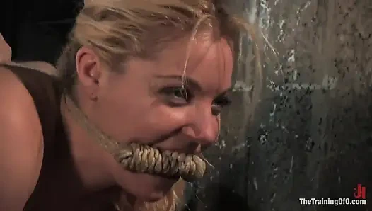 Hollie Stevens Day One'ın eğitimi