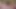 Dövmeli güzellik Evee şehvetli bir şekilde esnetiyor, çıplak soyunuyor, sırılsıklam amını parmaklıyor ve ilkel bir çığlıkla sertçe boşalıyor.