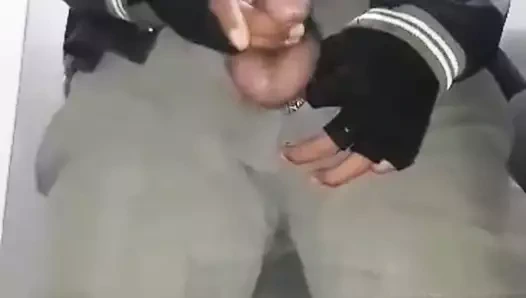 nöbetçi at çok heyecanlı sert horoz