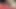 The hot stepdaughter was seduced and fucked passionately and has intense orgasm.