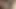 Juciy kedi hoşlanır varlık becerdin tarafından büyük horoz