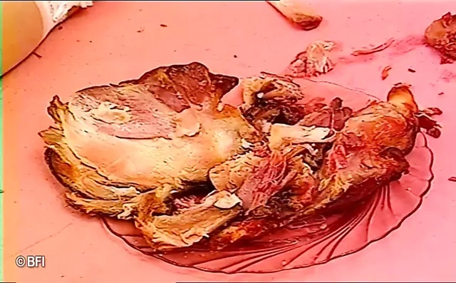 Çılgın seks bağımlıları her türlü havuç ve sebzeyi amcıklarına sokuyor