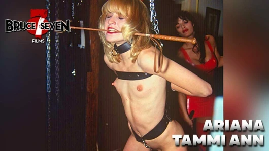 Bruce yedi - acılarla dolu bir dünya - ariana ve tammi ann