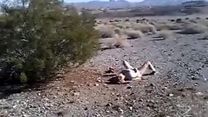 Amareur milf mastürbasyon açık havada ve hoşlanır hızlı emmek