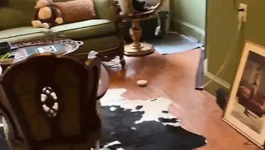 İri göğüslü Brynn Michaels iyi bir sikişi hak ediyor