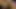 A-a-g-l: video #1