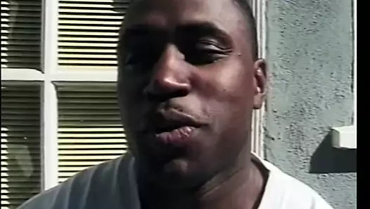 Büyük siyah horoz için abanoz kraliçe