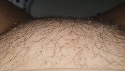 Sıcak tombul kıllı ıslak kedi