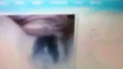 Web kamerası ateşli yuli