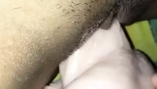 benim nefis Asya KEDİ