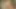 Russisch notgeile junge schlampe gibt es sich hart mit riesen dildo