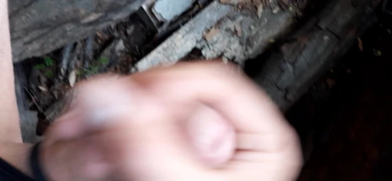 Outdoor Wank Part 2 (with Cum)
