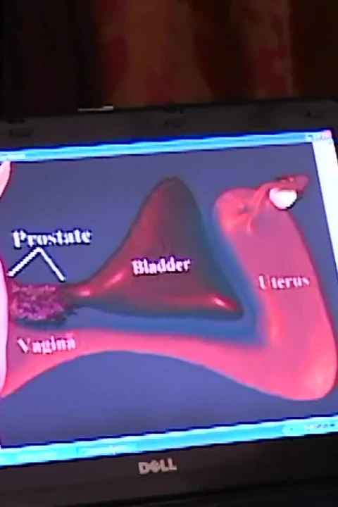 Как заставить ее сквиртовать - И как это работает